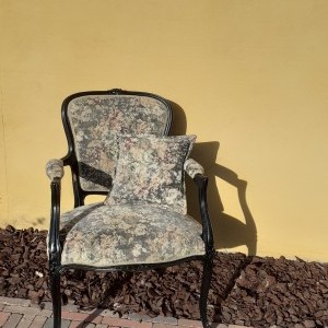 Louis XV met hedendaagse Gobelin - stof